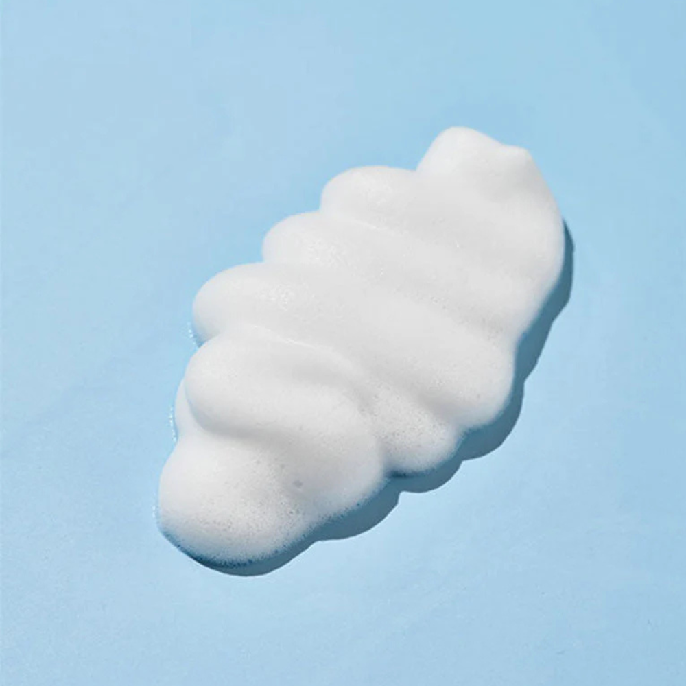 Round Lab 1025 Dokdo Bubble Foam - veido prausiklis